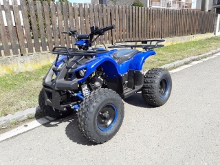 ATV 125 Grizzly Racing